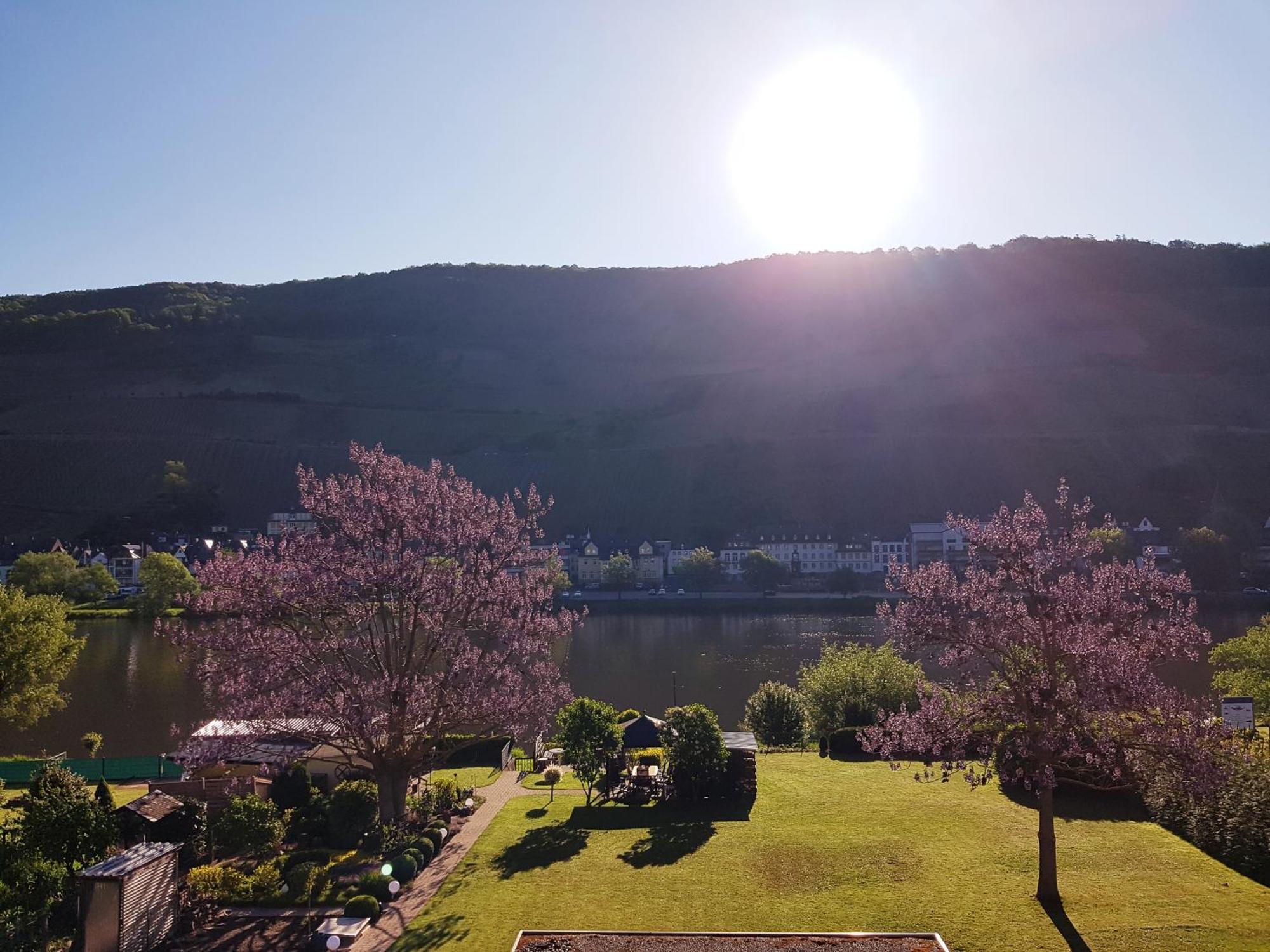 Zum Blauglockenbaum Zell an der Mosel Exterior foto